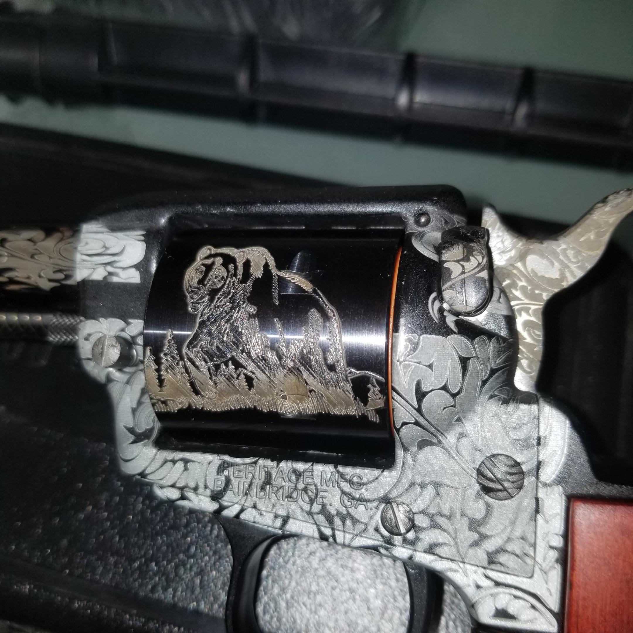 Heritage .22 firearm